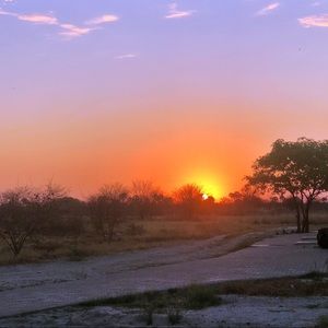 Meet your Posher, Jane